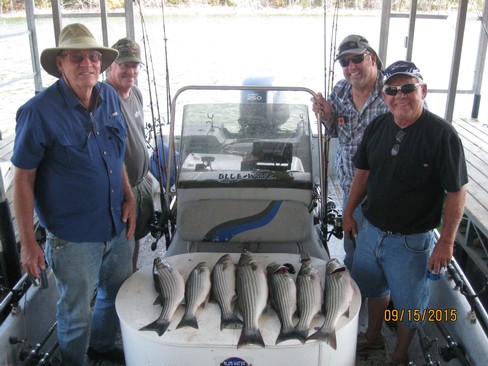 Nice Striped Bass